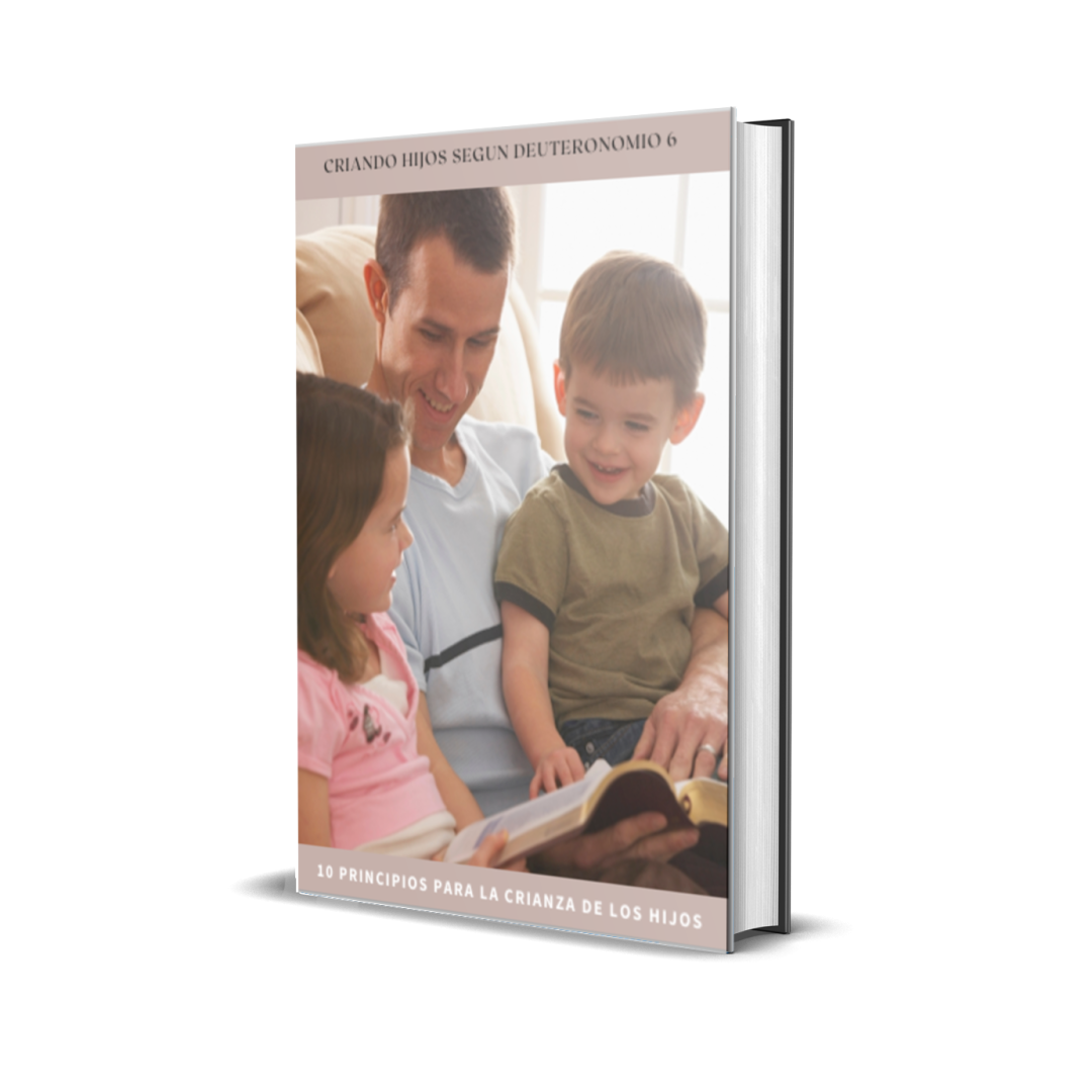 mockup libro 10 principios